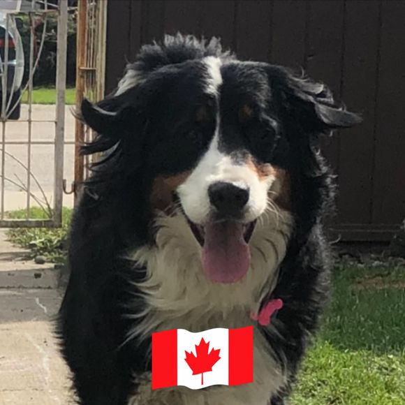 Meet your Posher, Gail - Picture 1 of 1